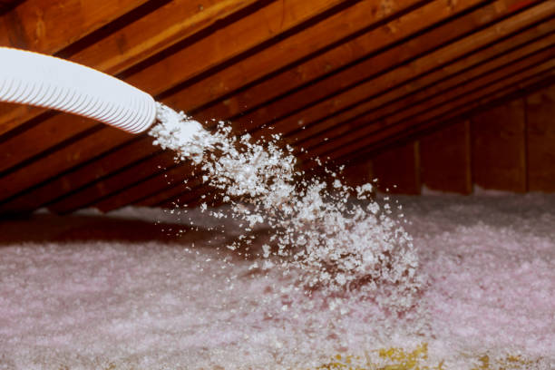 Best Spray Foam Insulation  in Washburn, ND